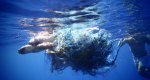 Esfuerzos para reducir la basura marina: el caso de las artes de pesca